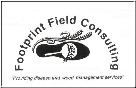 Footprint Field Consulting